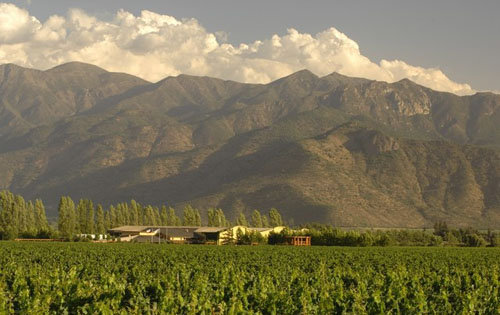 卡恰布谷產(chǎn)區(qū)（Cachapoal Valley）