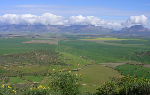 北開(kāi)普省產(chǎn)區(qū)（Northern Cape）
