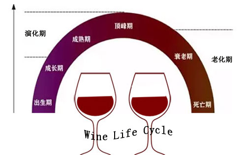 葡萄酒的演化、氧化與老化